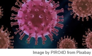 Corona-Virus