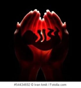 Embryo silhouette in Frauenhand