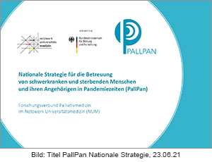 PallPan - Nationale Strategie für die Betreuung von schwerkranken und sterbenden Menschen und ihren Angehörigen 2021